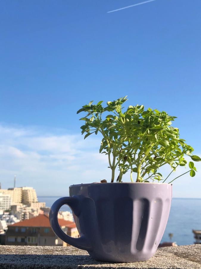 Studio Apartmani Lemon Budva Eksteriør bilde